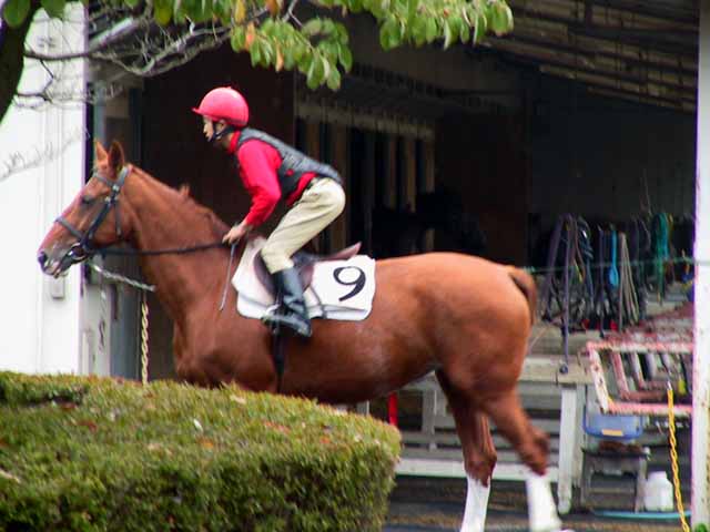 This picture is for quick loading of picture.