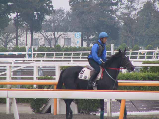 This picture is for quick loading of picture.