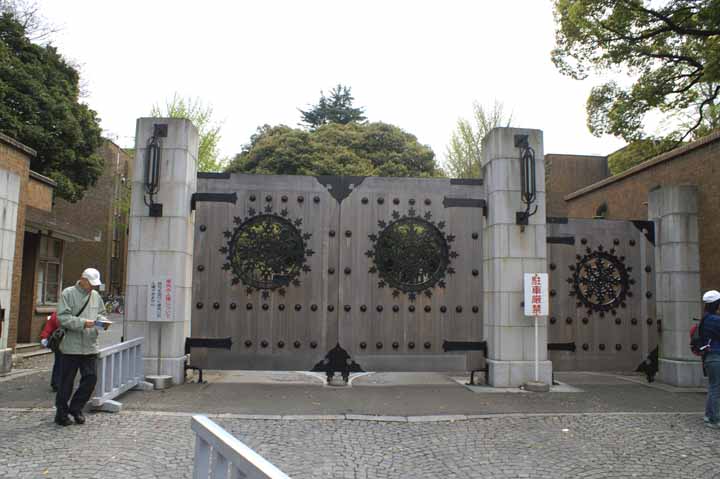 This picture is for quick loading of picture.