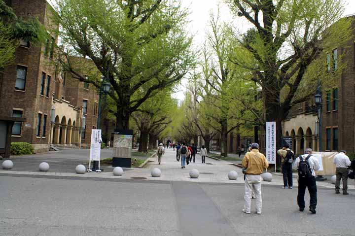 This picture is for quick loading of picture.