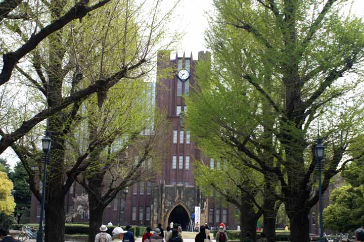 This picture is for quick loading of picture.