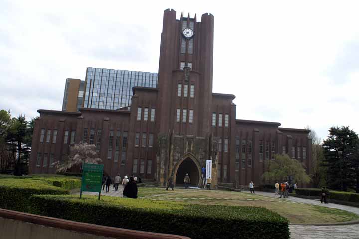 This picture is for quick loading of picture.