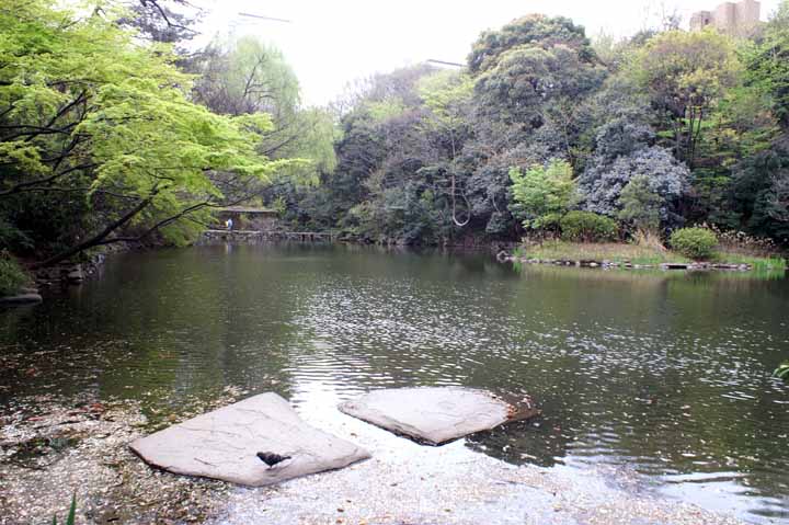 This picture is for quick loading of picture.