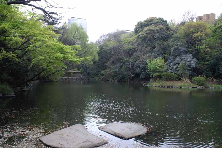 This picture is for quick loading of picture.