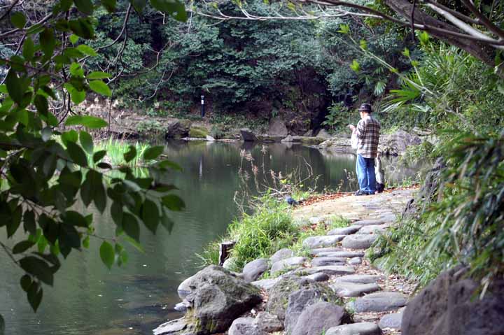 This picture is for quick loading of picture.