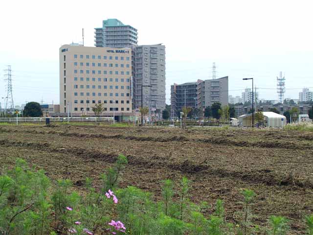 This picture is for quick loading of picture.