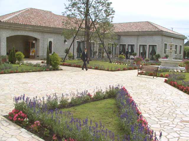 This picture is for quick loading of picture.