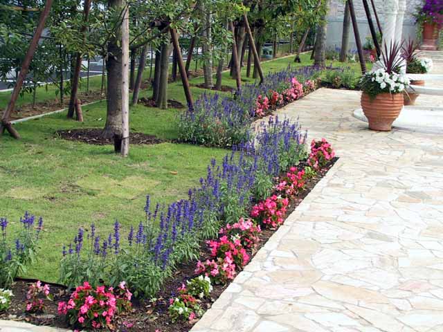 This picture is for quick loading of picture.