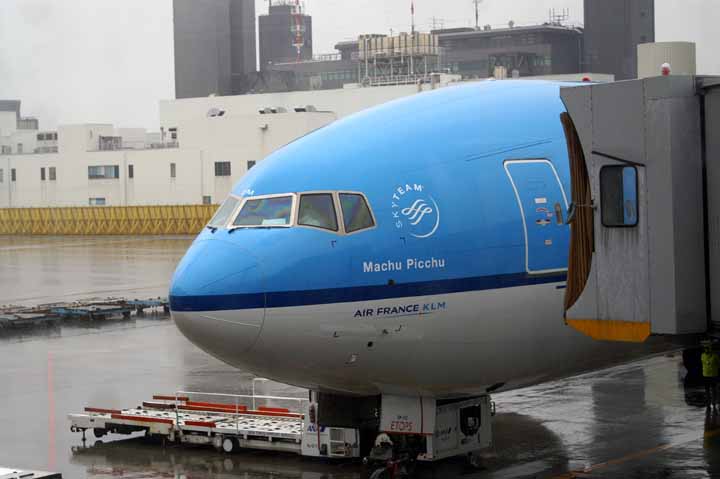 This picture is for quick loading of picture.