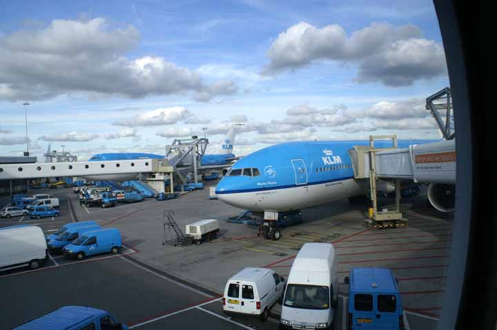 This picture is for quick loading of picture.