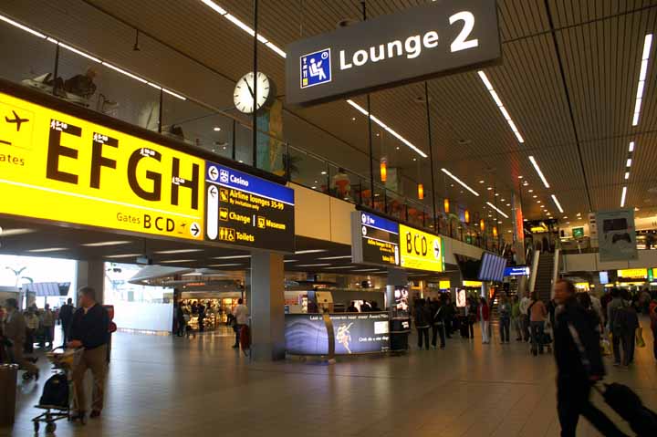 This picture is for quick loading of picture.