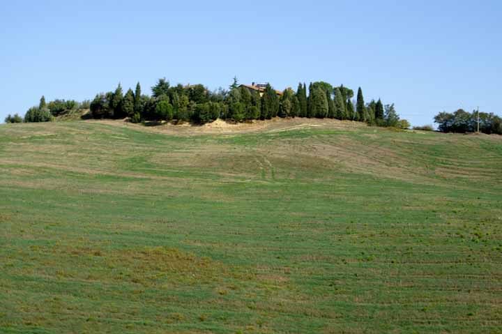 This picture is for quick loading of picture.