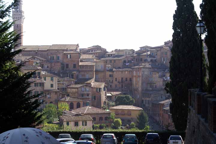 This picture is for quick loading of picture.