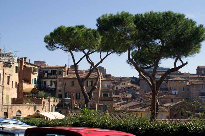 This picture is for quick loading of picture.