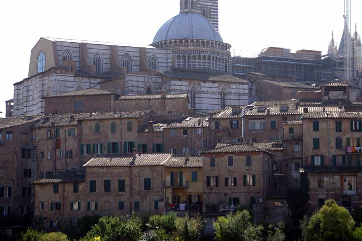 This picture is for quick loading of picture.