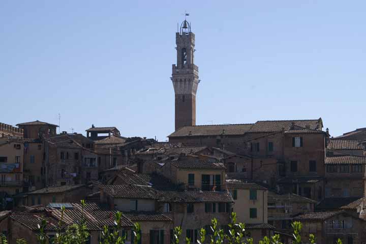 This picture is for quick loading of picture.