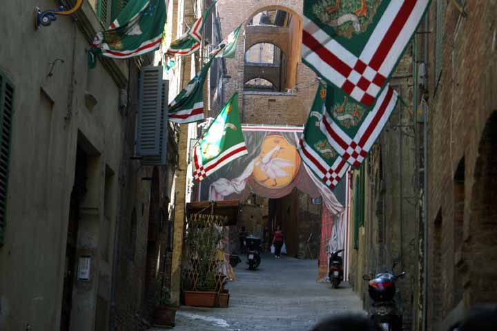 This picture is for quick loading of picture.