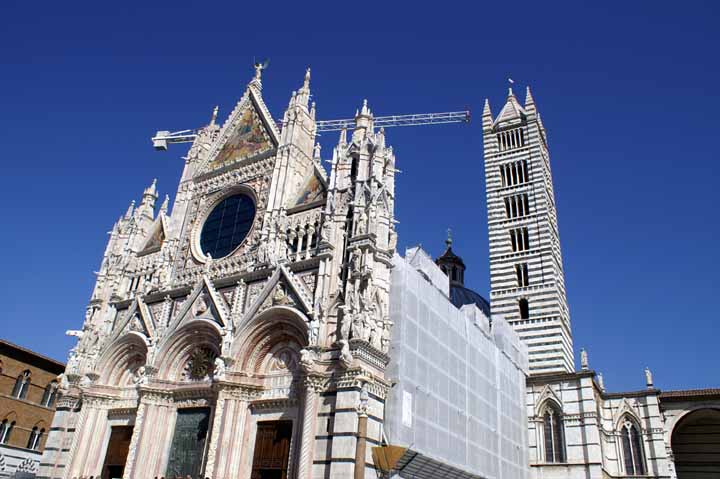 This picture is for quick loading of picture.