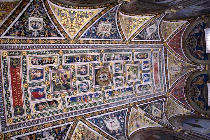 This picture is for quick loading of picture.