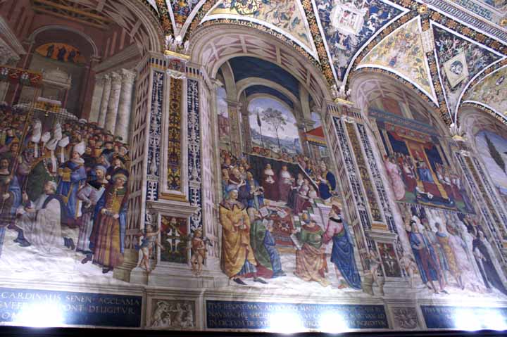 This picture is for quick loading of picture.