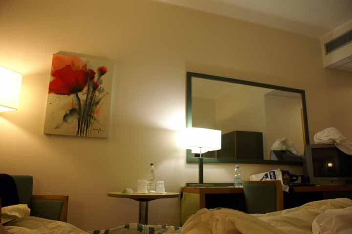 PICA5276.jpg
 ORG[720 x 479] NOW[ 720 x 479]
(�␳�O�{�����{���␳������100���ŕ\����)