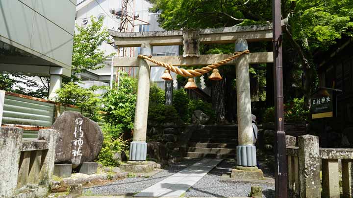 This picture is for quick loading of picture.