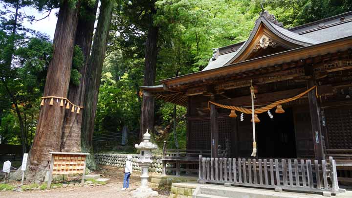 This picture is for quick loading of picture.