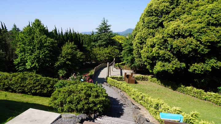 DRD04017.jpg
 ORG[720 x 405] NOW[ 720 x 405]
(�␳�O�{�����{���␳������100���ŕ\����)