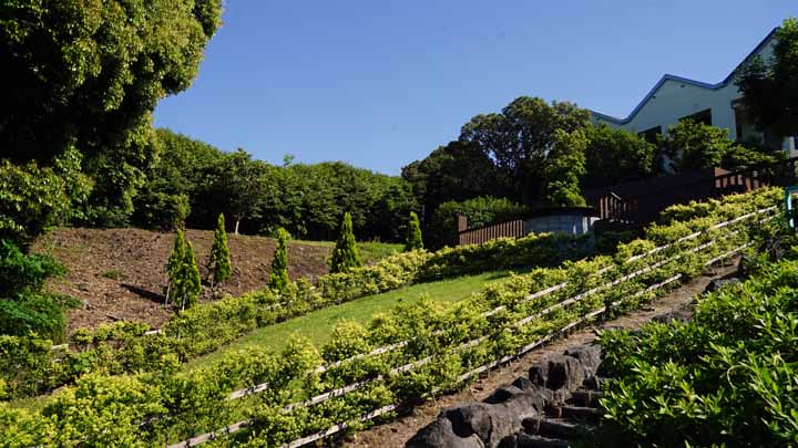 This picture is for quick loading of picture.