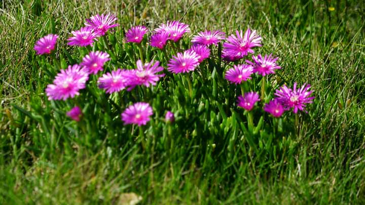 This picture is for quick loading of picture.