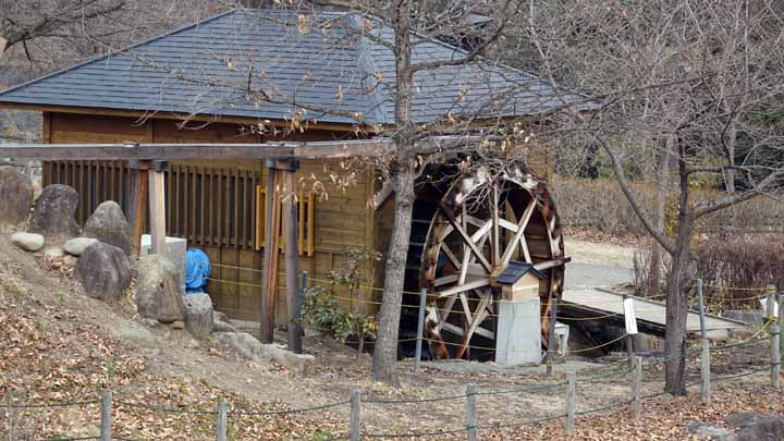 This picture is for quick loading of picture.