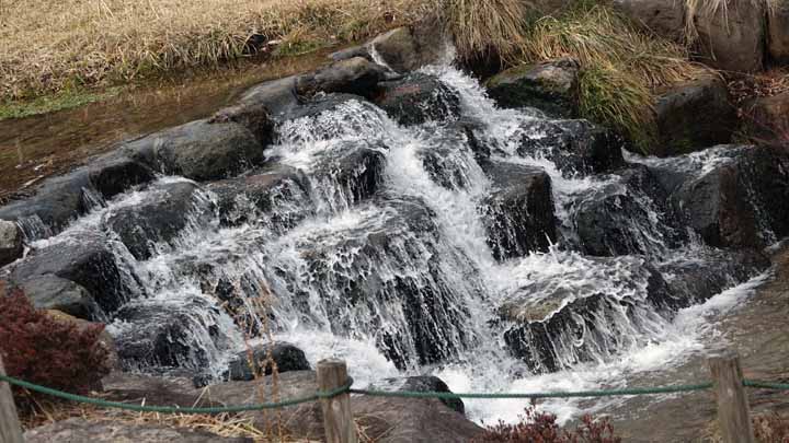 This picture is for quick loading of picture.