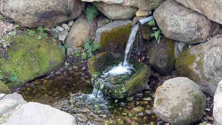 This picture is for quick loading of picture.