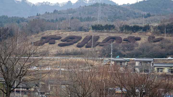 This picture is for quick loading of picture.