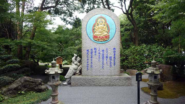 This picture is for quick loading of picture.