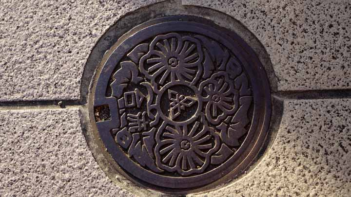 This picture is for quick loading of picture.