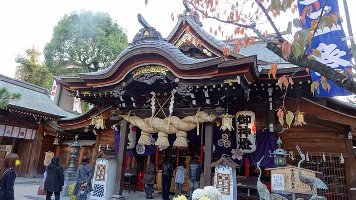 This picture is for quick loading of picture.