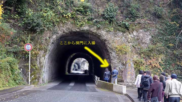 This picture is for quick loading of picture.