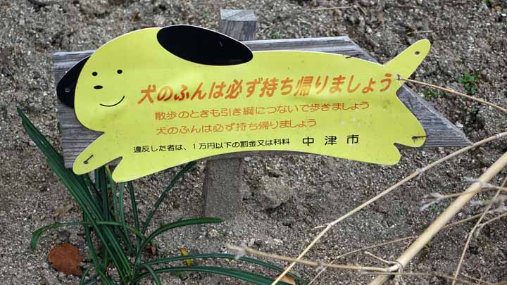 This picture is for quick loading of picture.