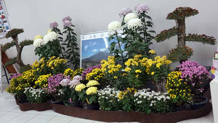 DRA04830.jpg
 ORG[720 x 405] NOW[ 720 x 405]
(�␳�O�{�����{���␳������100���ŕ\����)