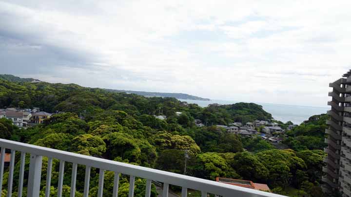 This picture is for quick loading of picture.