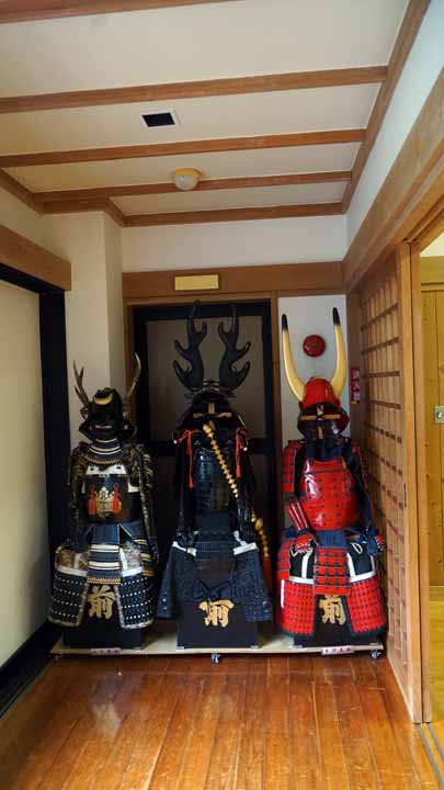 DSC08758.jpg
 ORG[405 x 720] NOW[ 291 x 518]
(�␳�O�{��75���{���␳������71���ŕ\����)