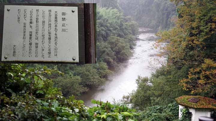 This picture is for quick loading of picture.