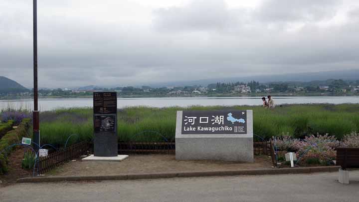 This picture is for quick loading of picture.