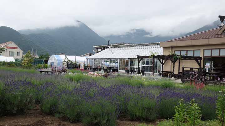 This picture is for quick loading of picture.