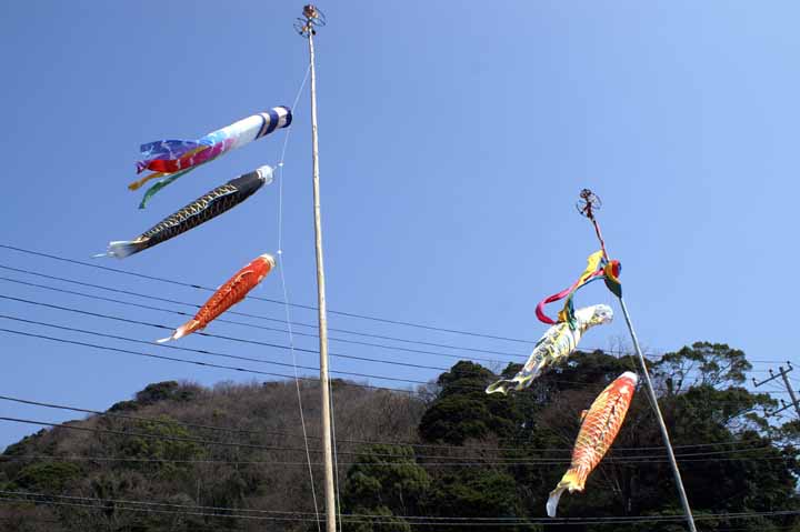 This picture is for quick loading of picture.