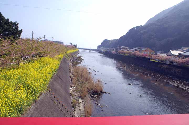 This picture is for quick loading of picture.