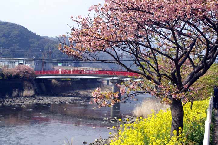 This picture is for quick loading of picture.