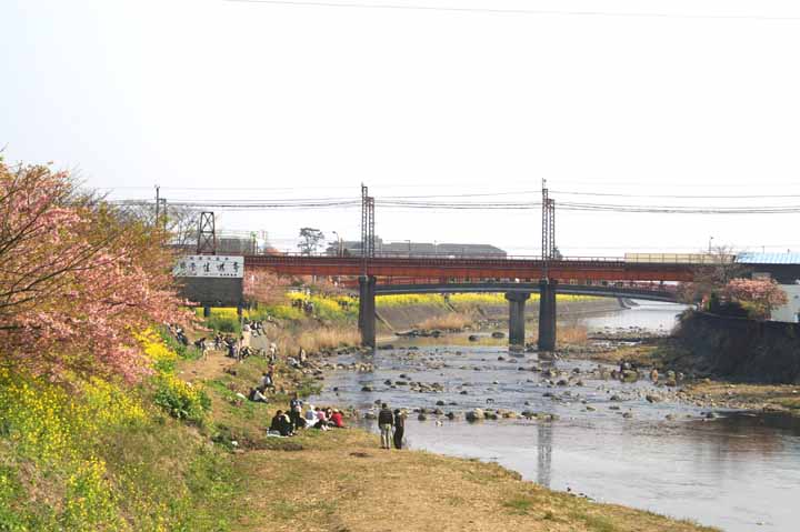 This picture is for quick loading of picture.