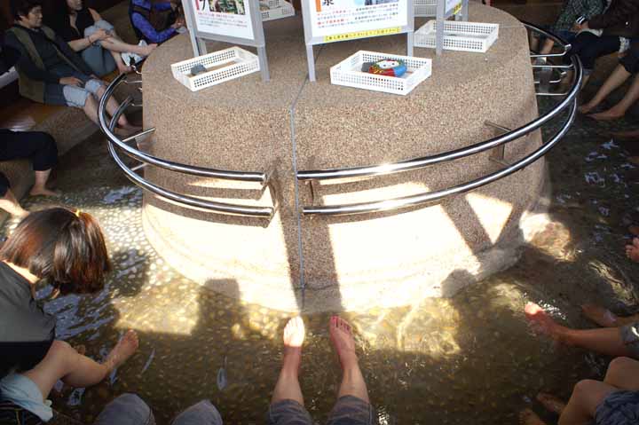 This picture is for quick loading of picture.